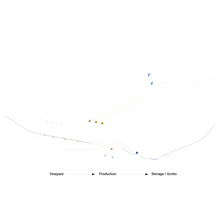 section of the overall concept ETHZ, Corinna Menn, Bergell, Records of a Territory, productive walls, muntac, Bondo, stone wall, section of the overall concept