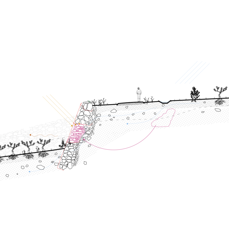 Muntac - section of the stone wall and the vineyard ETHZ, Corinna Menn, Bergell, Records of a Territory, productive walls, muntac, stone wall, section of the stone wall and the vineyard