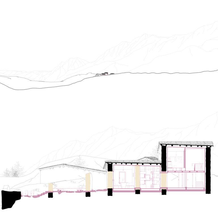 section ETHZ, Angela Deuber, grafting, infinity, Alp d‘Ur, Poschiavo, section