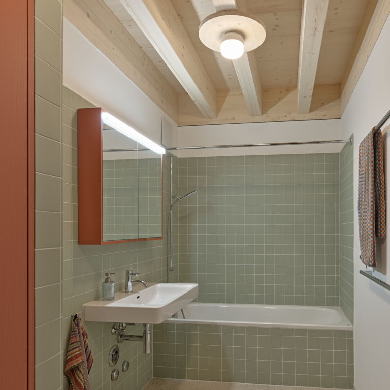 Schmid Ziörjen Architektenkollektiv, Roland Bernath, Binningen, Holzbau, Wooden Building, Bathroom, green, red, Wood, light