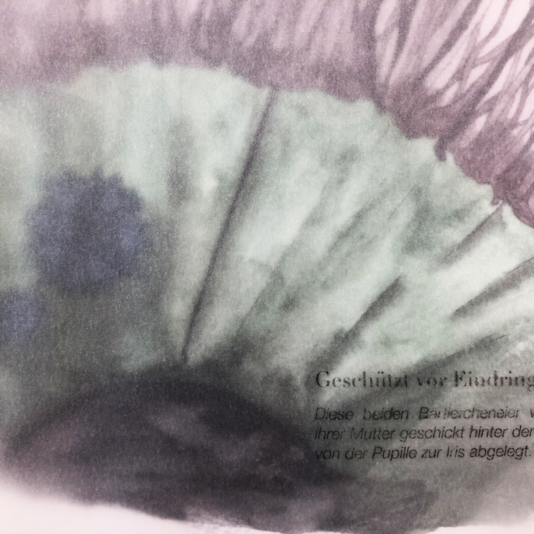 fantasy garden - page from the book ZHAW, Eberhard Tröger, Design and visualisation, Fantasy Gareden, page, watercolour, book