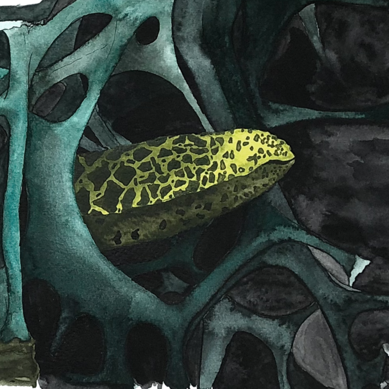 fantasy garden - page from the book ZHAW, Eberhard Tröger, Design and visualisation, Fantasy Gareden, page, watercolour, book