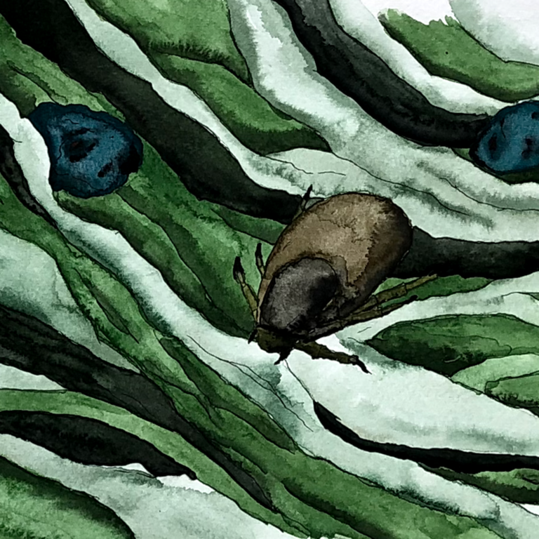 fantasy garden - page from the book ZHAW, Eberhard Tröger, Design and visualisation, Fantasy Gareden, page, watercolour, book